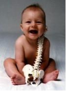 Chiropractic care for Infants